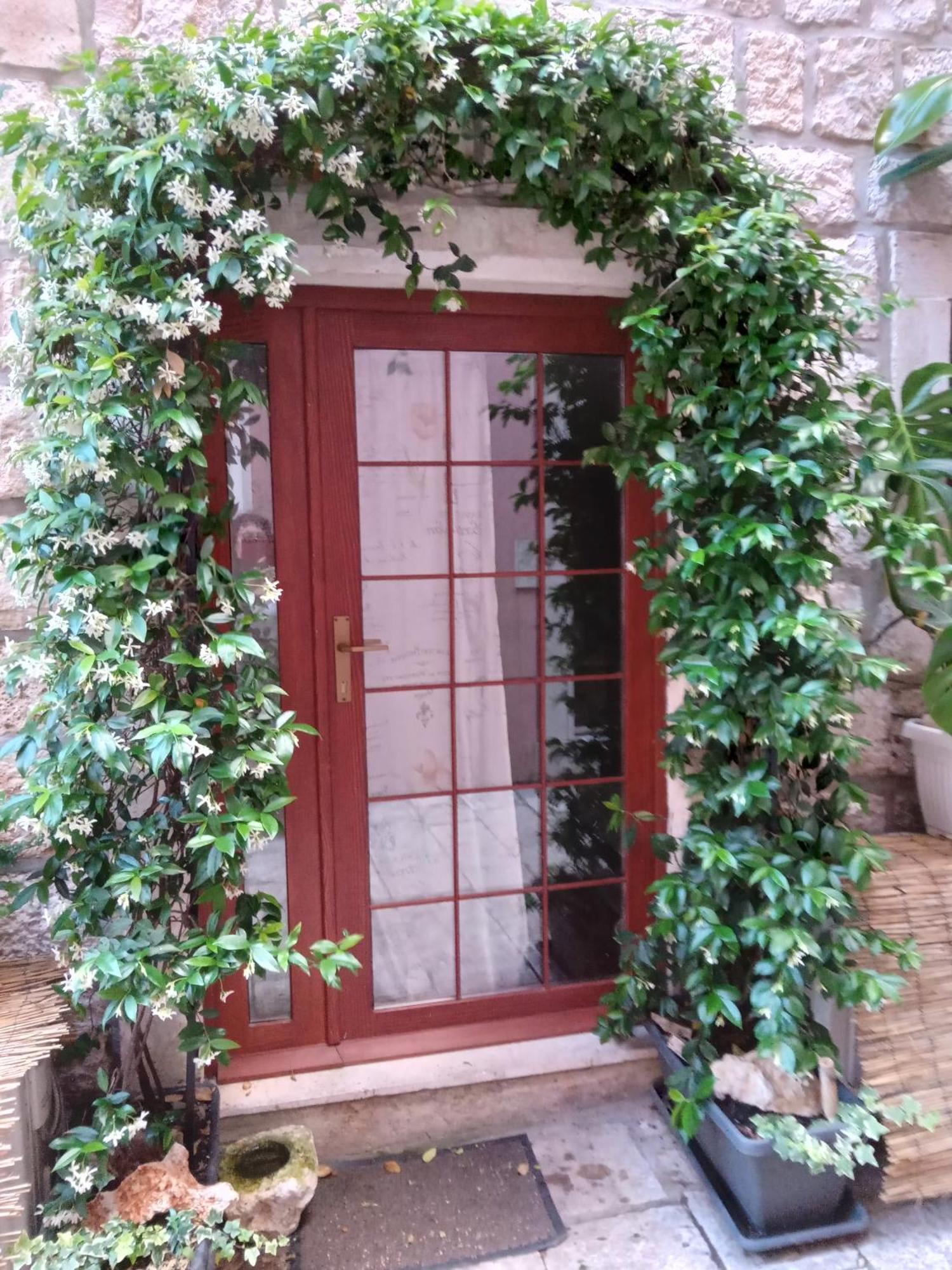 Guest House Jungher Korčula Esterno foto