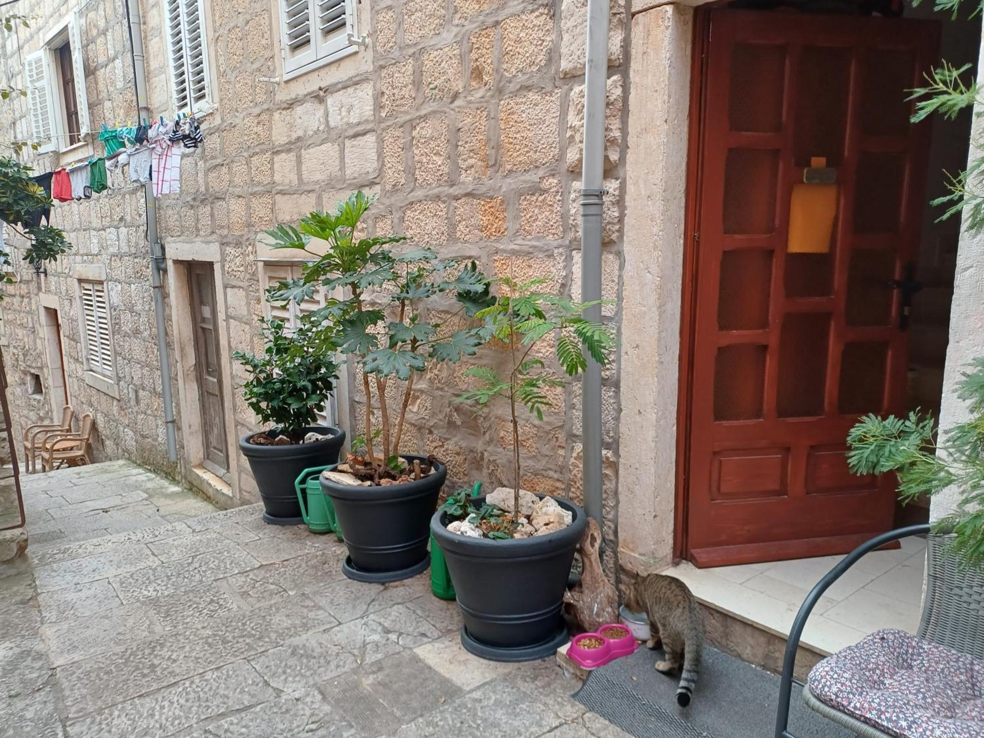 Guest House Jungher Korčula Esterno foto